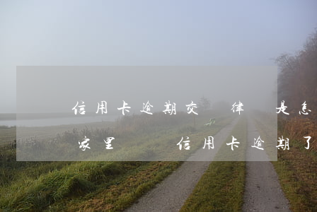 信用卡逾期交給律師是怎么處理的-律師到家里來說信用卡逾期了!要準備立案