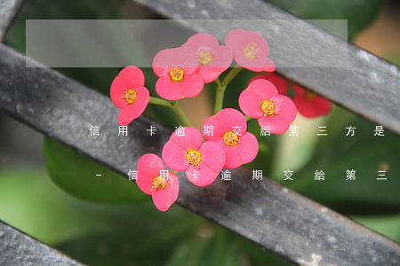 信用卡逾期交給第三方是不是銀行就不管了-信用卡逾期交給第三方是不是銀行就不管了呢