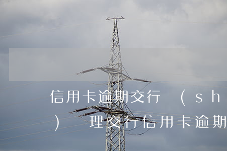 信用卡逾期交行說(shuō)會(huì)處理(交行信用卡逾期3天會(huì)上征信嗎)