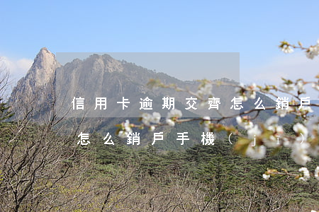 信用卡逾期交齊怎么銷戶-信用卡逾期交齊怎么銷戶手機(jī)
