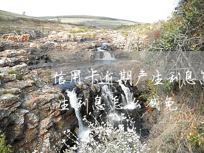 信用卡逾期产生利息怎么减免（信用卡逾期产生利息怎么减免）