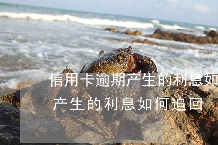 信用卡逾期产生的利息如何追回(信用卡逾期产生的利息如何追回)