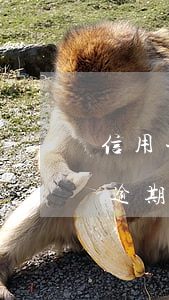 信用卡逾期人刑拘了怎么處理(被拘留信用卡逾期怎么辦)