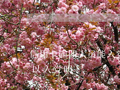 信用卡逾期人员能入党吗(信用卡逾期的人可以入党吗)