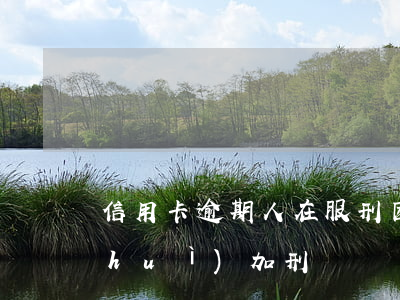 信用卡逾期人在服刑(因服刑信用卡逾期會(huì)加刑嗎)