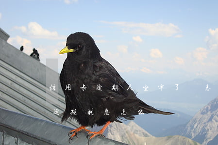 信用卡逾期人坐牢了錢怎么還(因坐牢信用卡逾期利息怎么辦)