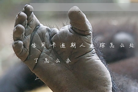 信用卡逾期人失踪怎么处理(欠信用卡人失联了怎么办)