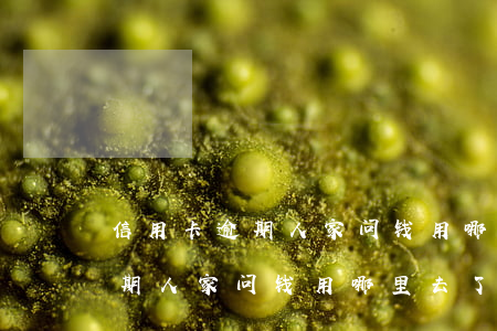 信用卡逾期人家问钱用哪里去了-信用卡逾期人家问钱用哪里去了怎么回答