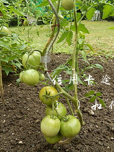 信用卡逾期人工來(lái)電了會(huì)如何處理？