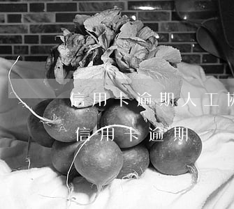 信用卡逾期人工协调可以吗(为什么这么多人信用卡逾期)