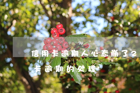 信用卡逾期人心态崩了(2021年对于信用卡逾期的处理)