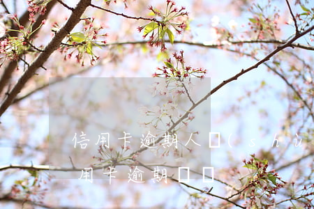信用卡逾期人數(shù)大幅攀升(全國信用卡逾期總額)