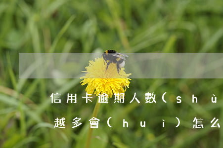信用卡逾期人數(shù)越來(lái)越多會(huì)怎么樣