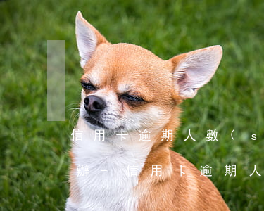 信用卡逾期人數(shù)越來越多了怎么辦-信用卡逾期人數(shù)越來越多了怎么辦呢