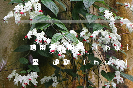 信用卡逾期人會(huì)來(lái)家里嗎(逾期會(huì)通知家人嗎)