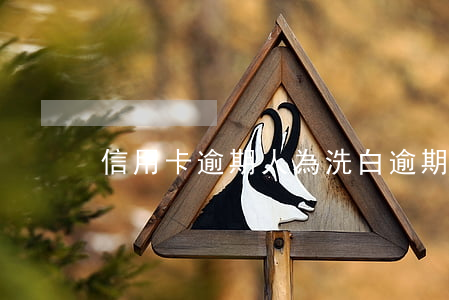 信用卡逾期人為洗白 逾期可以洗白嗎