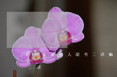 信用卡逾期人能考二建嘛(征信有逾期可以考二建嗎)