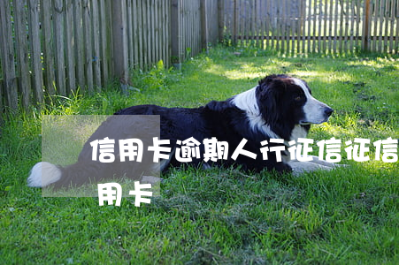 信用卡逾期人行征信(征信有逾期可以申請信用卡嗎)