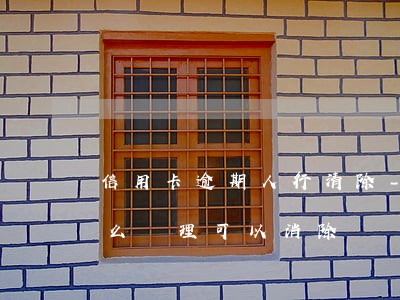 信用卡逾期人行清除-征信有信用卡逾期怎么處理可以消除