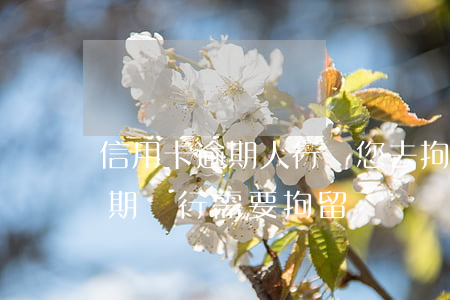 信用卡逾期人行讓您去拘留(拘留后信用卡逾期銀行需要拘留證)