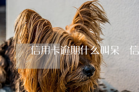 信用卡逾期什么叫呆帳(信用卡逾期什么叫呆帳)
