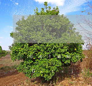 信用卡逾期什么小貸可以借(借信用卡逾期了會(huì)怎樣)