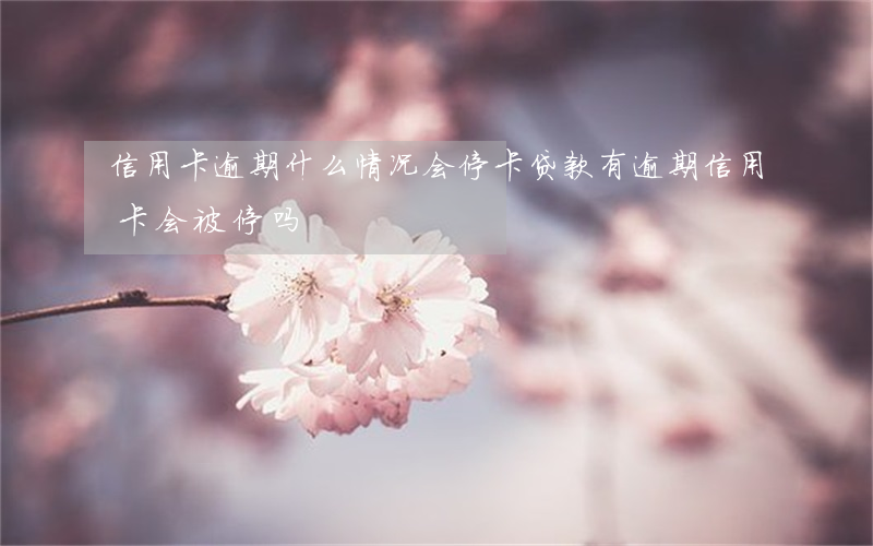 信用卡逾期什么情况会停卡(贷款有逾期信用卡会被停吗)