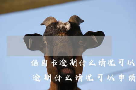 信用卡逾期什么情况可以申请立案-信用卡逾期什么情况可以申请立案起诉