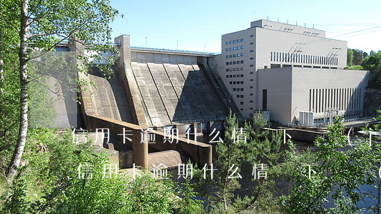 信用卡逾期什么情況下凍結(jié)賬戶(信用卡逾期什么情況下凍結(jié)賬戶還款)
