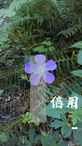 信用卡逾期什么情況下會(huì)成為壞賬-信用卡逾期什么情況下會(huì)成為壞賬損失