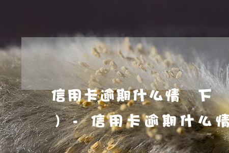 信用卡逾期什么情況下會上門核實(shí)-信用卡逾期什么情況下會上門核實(shí)呢