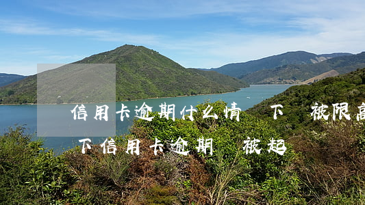 信用卡逾期什么情況下會被限高-什么情況下信用卡逾期會被起訴