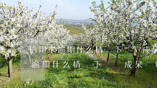 信用卡逾期什么情況下會變成呆帳-信用卡逾期什么情況下會變成呆帳呢