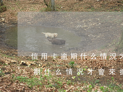 信用卡逾期什么情況才會來抓你-信用卡逾期什么情況才會來抓你貸款