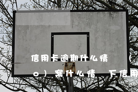 信用卡逾期什么情況會(huì)報(bào)案(什么情況下信用卡逾期會(huì)被起訴)
