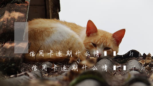 信用卡逾期什么情況會(huì)觸犯刑法 信用卡逾期什么情況會(huì)觸犯刑法