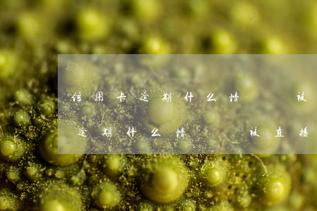 信用卡逾期什么情況會被直接立案-信用卡逾期什么情況會被直接立案起訴