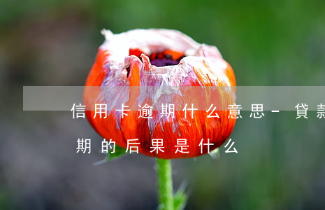 信用卡逾期什么意思-貸款逾期與信用卡逾期的后果是什么
