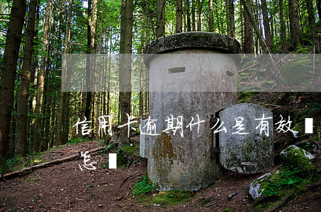 信用卡逾期什么是有效還款(逾期還信用卡會怎樣)