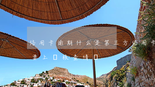 信用卡逾期什么是第三方(信用卡逾期第三方要上門核查情況)