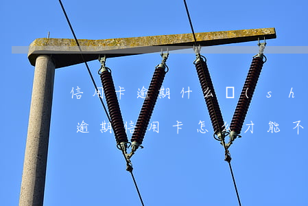信用卡逾期什么時(shí)候停止利息(還逾期信用卡怎么才能不還利息)