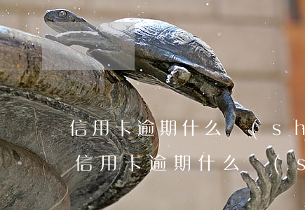 信用卡逾期什么時(shí)間還款是本金(信用卡逾期什么時(shí)間還款是本金)