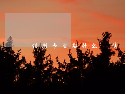 信用卡逾期什么時候凍結(jié)儲蓄卡