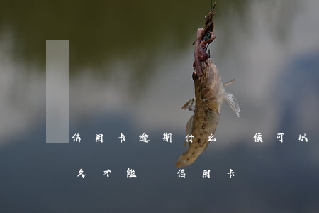 信用卡逾期什么時候可以在辦卡(有過逾期多久才能辦信用卡)