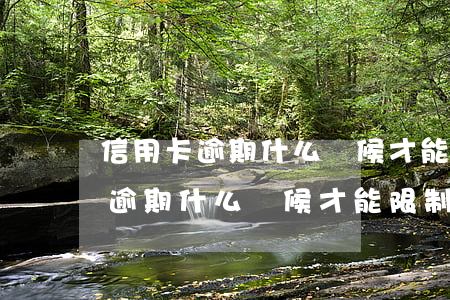 信用卡逾期什么時候才能限制出行-信用卡逾期什么時候才能限制出行呢