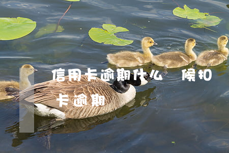 信用卡逾期什么時候扣錢-什么情況算信用卡逾期