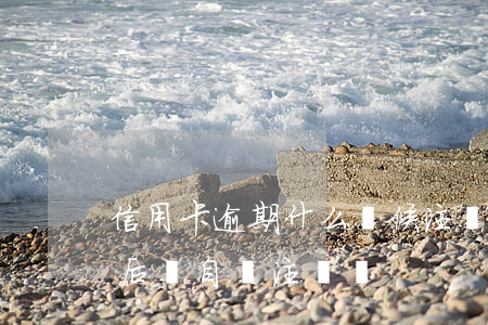 信用卡逾期什么時候注銷(逾期的信用卡還清后會自動注銷嗎)