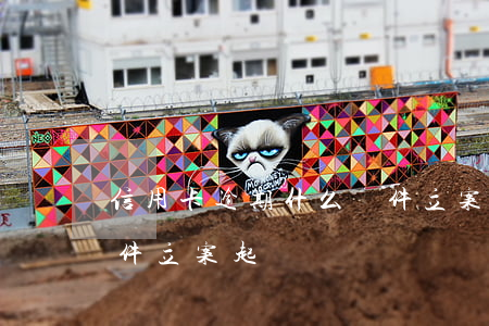 信用卡逾期什么條件立案(信用卡逾期什么條件立案起訴)