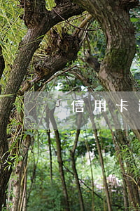 信用卡逾期什么法律責任