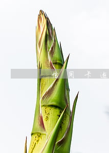 信用卡逾期什么算有效催收-逾期各種催收